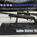 Gamo Hornet Maxxim IGT